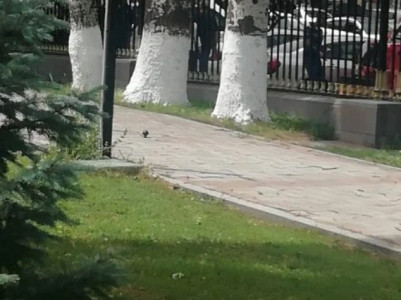 Stun grenades installed in courtyard of Armenian parliament