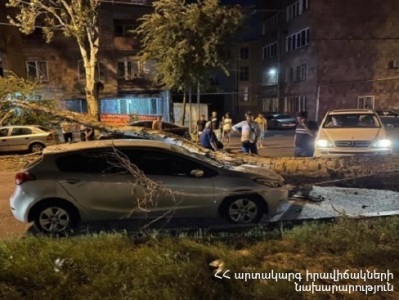 Աբովյան քաղաքում ծառն ընկել է կայանած ավտոմեքենաների վրա
