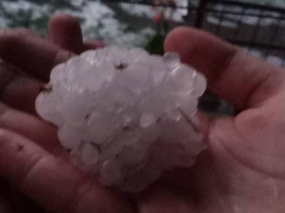 Hailstorm damages about 90% of crop in Armenia rural community (PHOTOS)