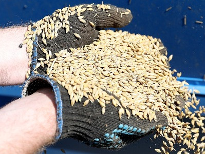 Turkish delegation to travel Russia to discuss maritime corridor in Black Sea for Ukrainian grain exports