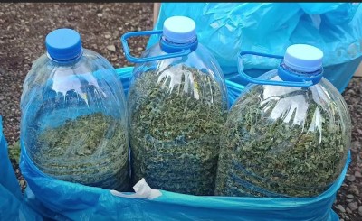Արկղերով կանեփի թփեր՝ 14 կիլոգրամ. վարորդը եւ ուղեւորը բերման են ենթարկվել