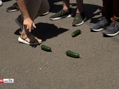 Opposition movement protesters throw cucumbers near Armenia presidential residence
