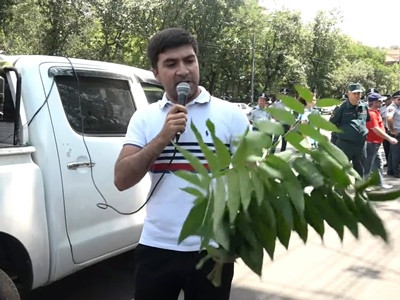 Armenia opposition movement demonstrators leave tree branch outside parliament building