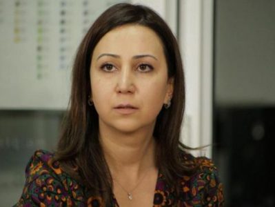 Ruling power MP: Armenia defends only its interests in talks for normalization of relations with Turkey