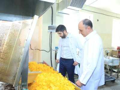 Փոխնախարարն այցելել է կարտոֆիլային նախուտեստների և պոպկորնի արտադրությամբ զբաղվող ընկերություն