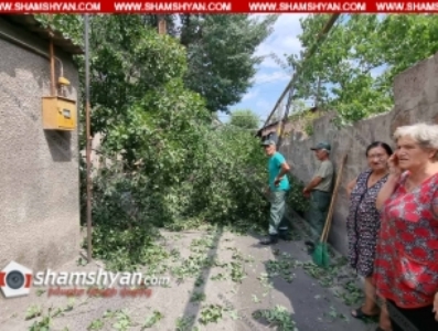 Երևանում հաստաբուն ծառից մի հատված պոկվել և վնասել է գազախողովակներն ու էլեկտրալարերը