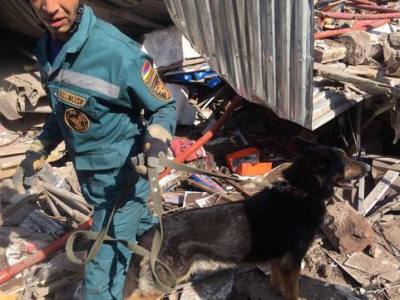 Yerevan explosion: Search-and-rescue dogs found certain track, emergency ministry spokesman says