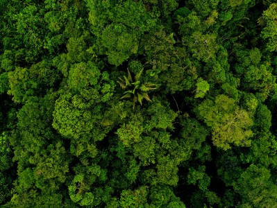 Unknown tribe’s last known member dies in Brazil jungles