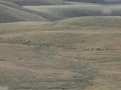 Armenian defense ministry shares footage of one of failed attacks by Azerbaijani units