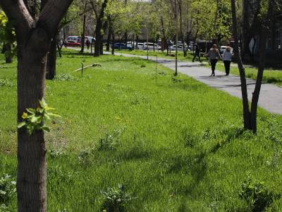 В Ереване продолжаются комплексные работы по благоустройству сквера Абовяна