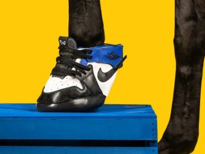 First sneakers for horses created in US