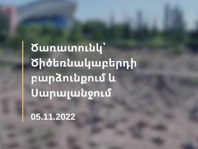 Мэрия: На холме Цицернакаберд в Ереване посадят около 5000 деревьев