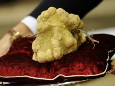 Italy auctioned biggest truffle for record 184 thousand euros