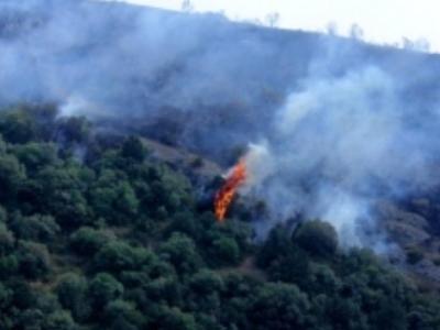 Пожар на территории Дилижанского национального парка