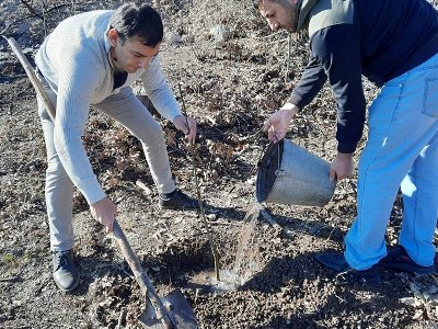 Ծառատունկ Ասկերանի շրջանի Դահրազ գյուղում