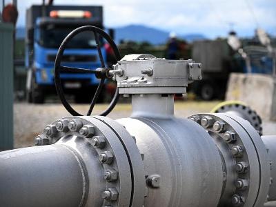 German companies are running out of gas saving options
