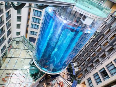 Aquarium with about 1,500 exotic fish exploded in Berlin