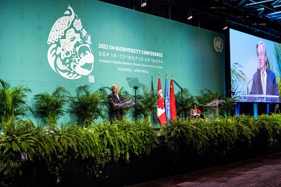 Negotiators at UN summit on nature protection move closer to reaching new agreement