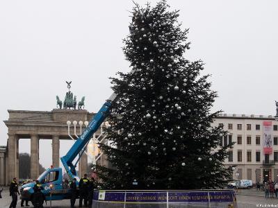 Climate activists cut down top of Christmas tree at Brandenburg Gate in Berlin