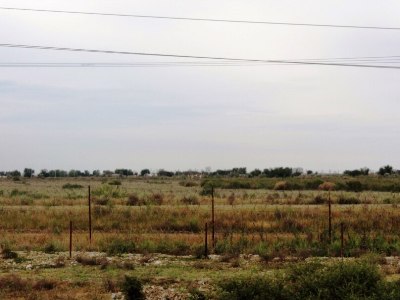 Uzbekistan and Kazakhstan sign treaty on demarcation of common border