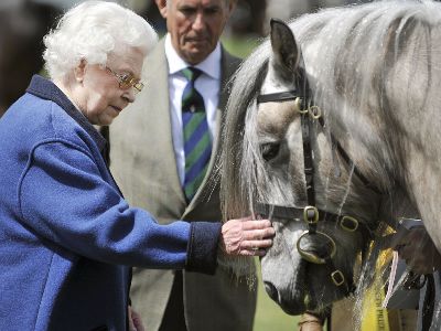 Elizabeth II's favorite stallion die