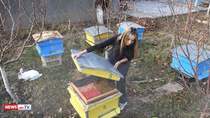 Young girl moves from city to countryside and starts beekeeping