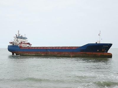 Dry cargo ship runs aground in Suez Canal
