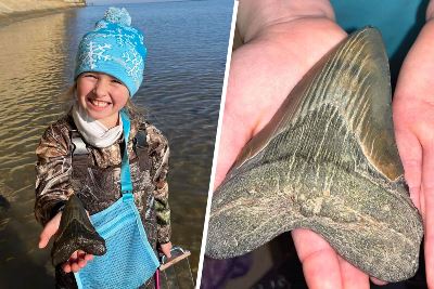 Nine-year-old schoolgirl find shark's tooth on beach that was 2.5 million years old