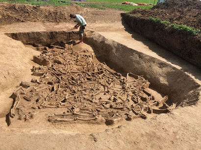 Archaeologists unearth 7,000-year-old grave with 38 decapitated remains in Slovakia