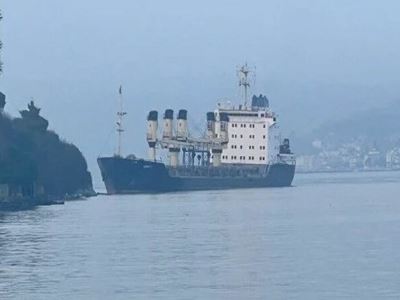 Queue of ships in Bosporus Strait stretched for kilometers