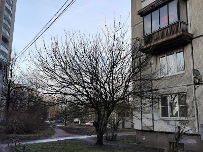 Погода в Армении      