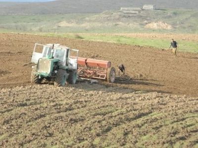 Министр сельского хозяйства: В Арцахе нет проблемы пшеницы и муки