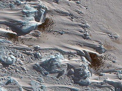 Geographer find previously unknown colony of penguins in images from space