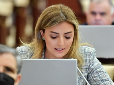 Azerbaijani MP deliberately voices lie, trying to deceive PACE delegates