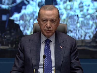 Meduza: Erdogan came to power 20 years ago on a wave of popular discontent: But can he cope now?