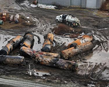 More than 43,000 animals killed in Ohio man-made disaster