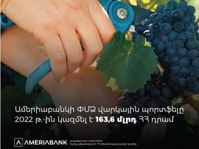 Ameriabank doubles SME portfolio over five years