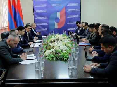 Բադասյանը ԱՄՀ հայաստանյան առաքելության ղեկավարի հետ քննարկել է հարկային եկամուտների կատարողականի կանխատեսումները