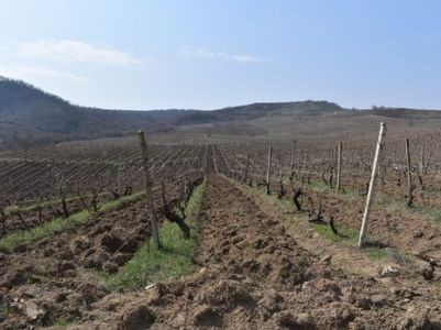 Azerbaijan fires on civilians carrying out agricultural work in Karabakh