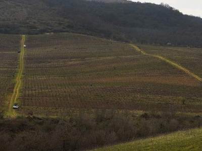 Azerbaijanis fire at Karabakh civilians, agricultural work stopped