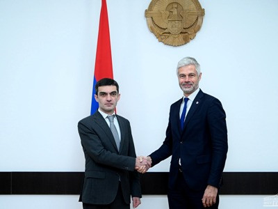 Karabakh FM, France official discuss situation around Artsakh, future courses of action (PHOTOS)