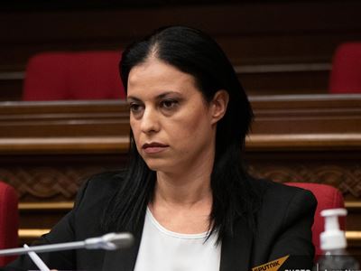 «Ուղտը» կարող է թքել, բայց ուղտը մի օր անպայման չոքելու է դռանը. Արեգնազ Մանուկյան