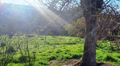 44-year-old man found hanging from a tree