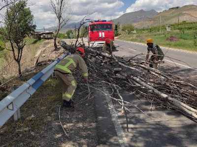 Երևան-Մեղրի ճանապարհին ծառի բունն այրվել է, այն ընկել է՝ ճանապարհը դարձնելով միակողմանի երթևեկելի