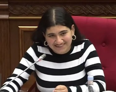 Дочь Никола Пашиняна приняла участие в парламентских слушаниях, организованных в НС