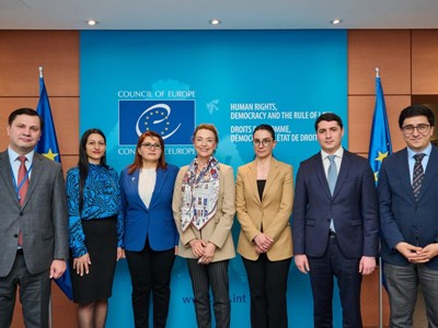 Вардапетян в Страсбурге: обсуждены вопросы укрепления институционального уровня исполнения вердиктов ЕСПЧ