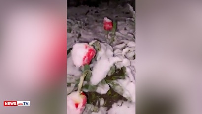 «Снова майский снег»: Гагик Суренян опубликовал видео на своей странице