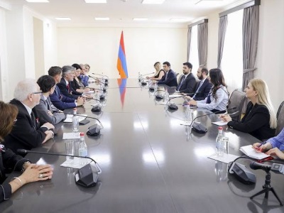 Глава МИД Армении проинформировал аргентинских парламентариев о ситуации в Нагорном Карабахе