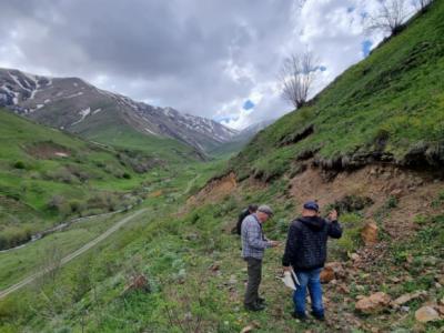 Канадская компания Fremont Gold получит до 100% акций армянской компании Mendia Resources