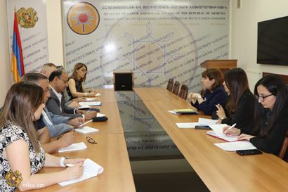 Замминистра труда и по социальным вопросам Армении и представители ВОЗ обсудили вопросы лиц с инвалидностью
